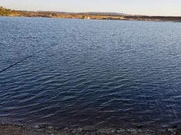 Hardt-See (Sickenhofen)-3