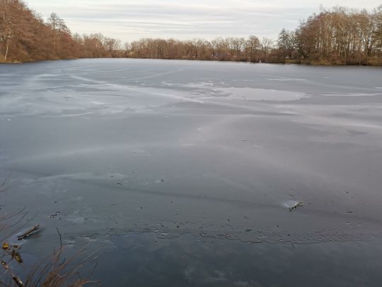 Buschmannsee ohne Insel-3