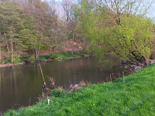 Fulda (Bad Hersfeld)-3