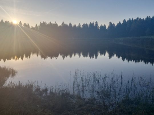Zankwieser Teich-1