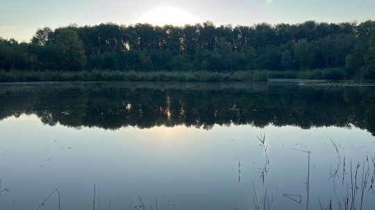 Regenrückhaltebecken Atzendorf-1