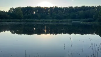 Regenrückhaltebecken Atzendorf-1