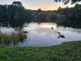 Lankower See (Schwerin)-2