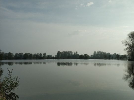 Erlensee (Weener)-2