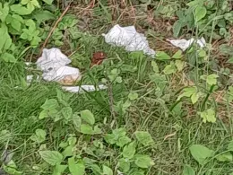 Stadtkuhle (Jarmen)-2