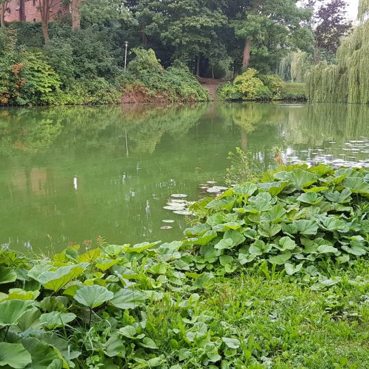 Burggraben Glückstadt-4