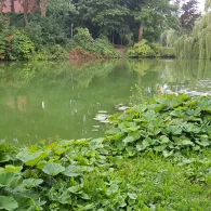 Burggraben Glückstadt-4