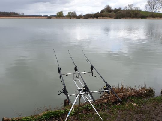 Étang du Moulin (Vergaville)-3