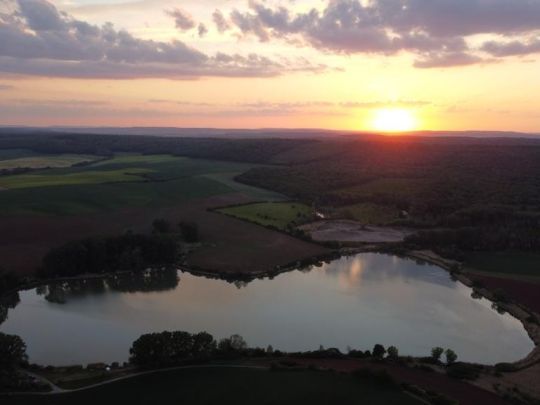 Étang du Moulin (Vergaville)-4