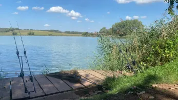 Étang du Moulin (Vergaville)-1