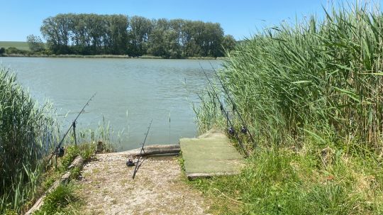 Étang du Moulin (Vergaville)