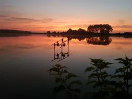 Étang du Moulin (Vergaville)-2