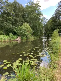 Südumfluter (Raddusch)-3