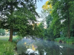 Südumfluter (Raddusch)-2