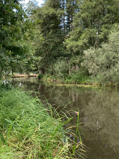 Südumfluter (Raddusch)-4