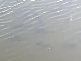 Vorsperre Neuensalz-2