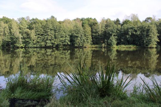 Vorsperre Neuensalz-4