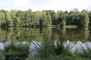 Vorsperre Neuensalz-4