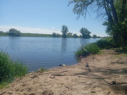 Bleddiner Riss-4