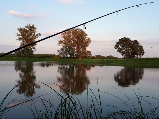 Bleddiner Riss-1