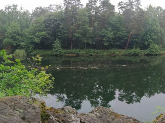 Waldsteinbruch Hundisburg-1