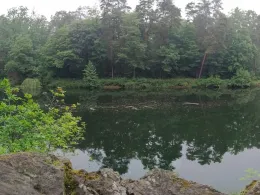 Waldsteinbruch Hundisburg-1