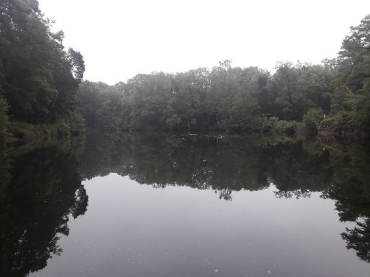 Waldsteinbruch Hundisburg-2