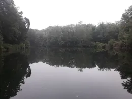 Waldsteinbruch Hundisburg-2