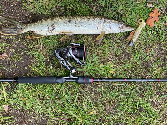 Kiessee Bothmer (Costa Kiesa)-1