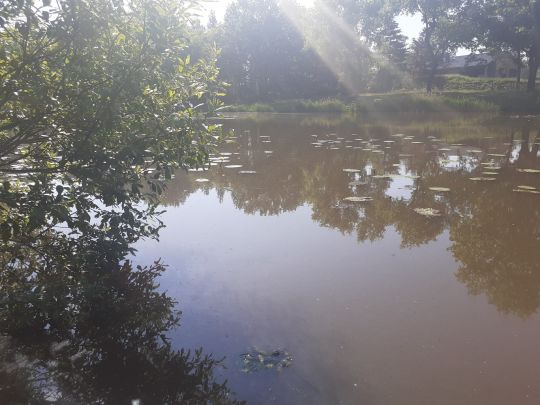 Badeanstalt Ruhland-3