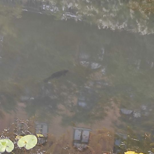 Karl-Heine-Kanal (Leipzig)-2