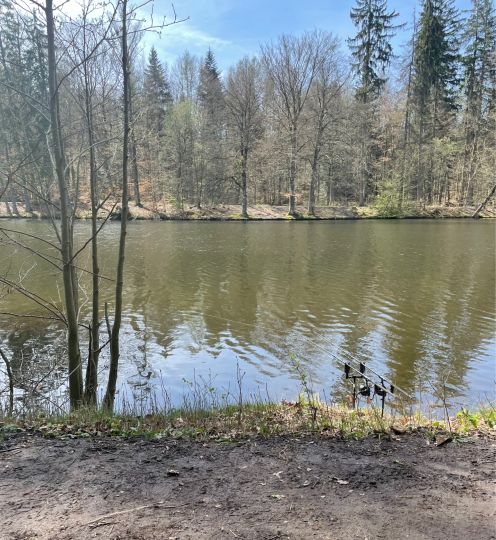 Pfaffensee (Stuttgart)-1