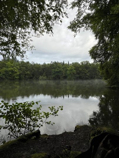 Pfaffensee (Stuttgart)-2