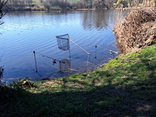 Seehäuser Seewiesen-4