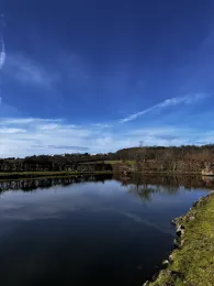 Im Gunsenbruch (Gressenich)-4