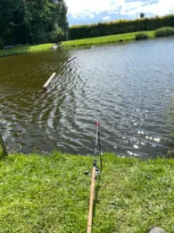 Im Gunsenbruch (Gressenich)