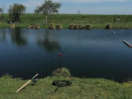 Im Gunsenbruch (Gressenich)-1