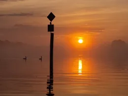 Bodensee (Seerhein)-4