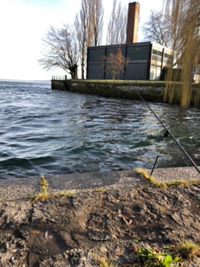 Bodensee (Seerhein)-3