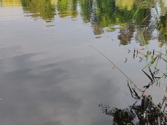 Mühlensee (Liebenwalde)-4