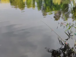 Mühlensee (Liebenwalde)-4