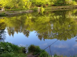 Angelparadies Viedt-2