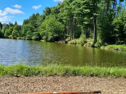 Angelparadies Viedt-1