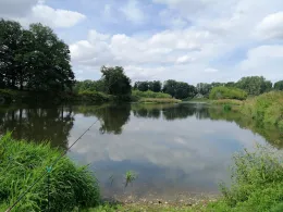 Zwickauer Mulde (Colditz)-2