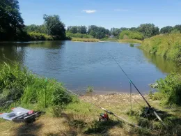 Zwickauer Mulde (Colditz)