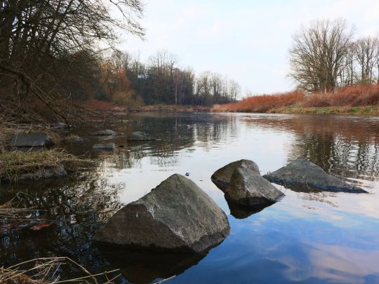 Zwickauer Mulde (Colditz)-3