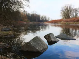 Zwickauer Mulde (Colditz)-3