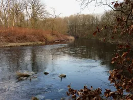 Zwickauer Mulde (Colditz)-1