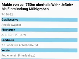 Mulde (Jeßnitz/Anhalt)-4