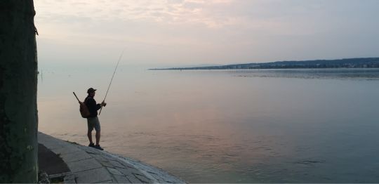 Bodensee (Konstanz)-3